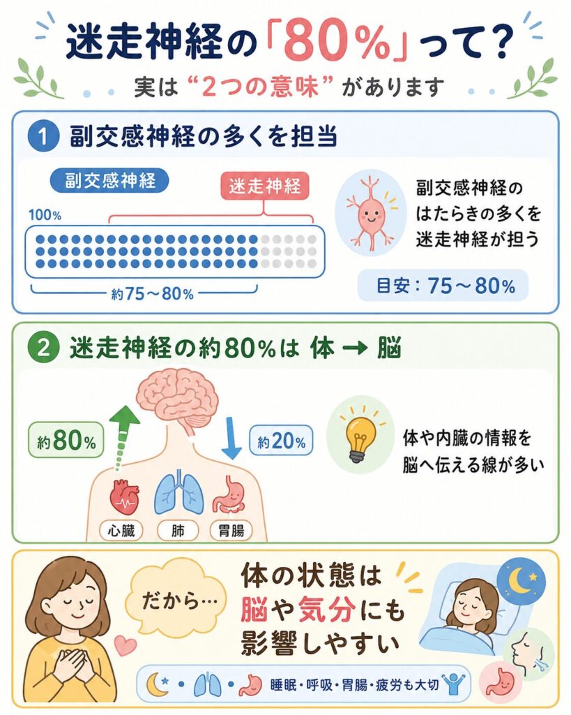 迷走神経の約80%が体や内臓から脳へ情報を伝える求心性線維であることを示す図