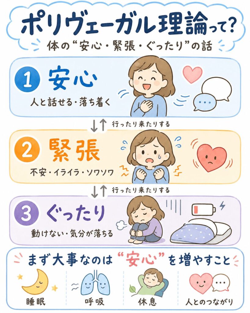 ポリヴェーガル理論の安心・緊張・ぐったりの3つの心身の状態を示す図