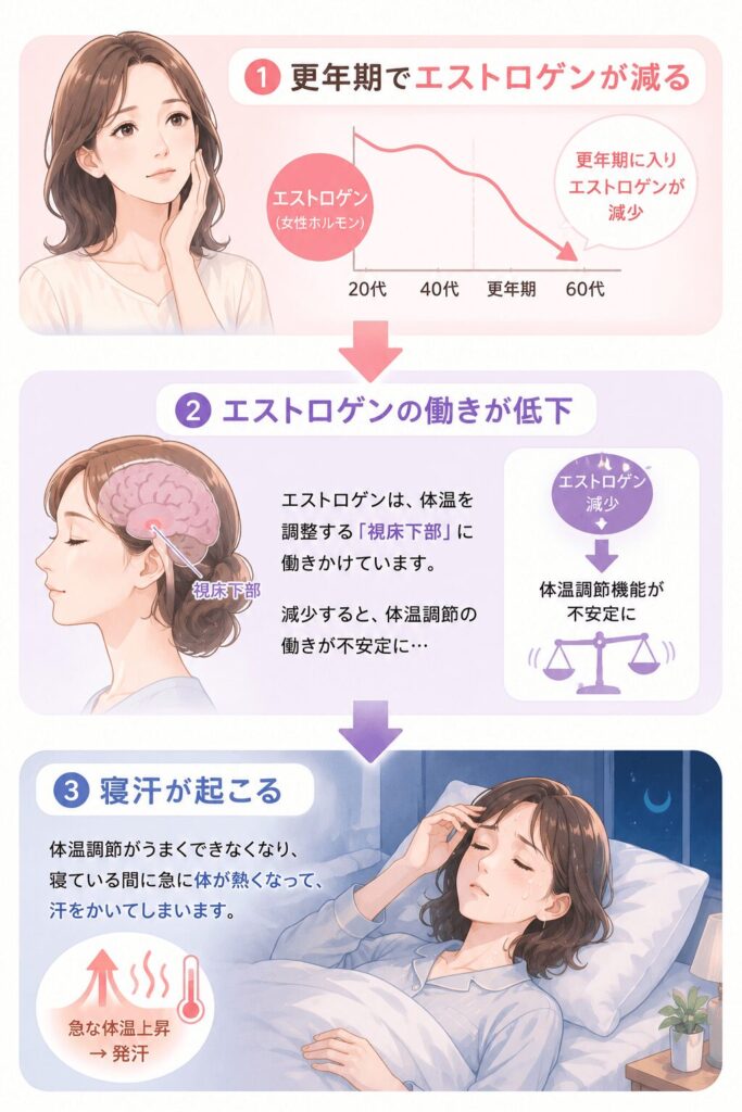 女性ホルモンの変化が体温調節や自律神経に影響し、寝汗が起こる仕組みを示した図