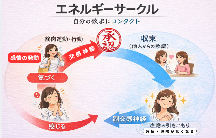 エネルギーサークルの流れを説明する図