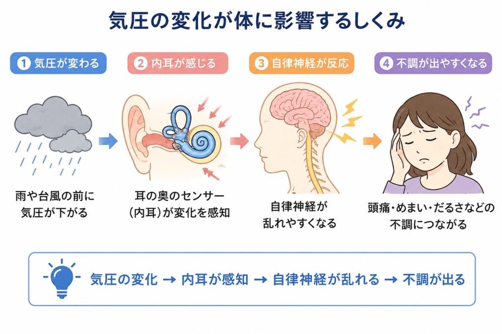 気圧の変化を耳の奥にある内耳が感じ取り、自律神経に影響する仕組みのイラスト