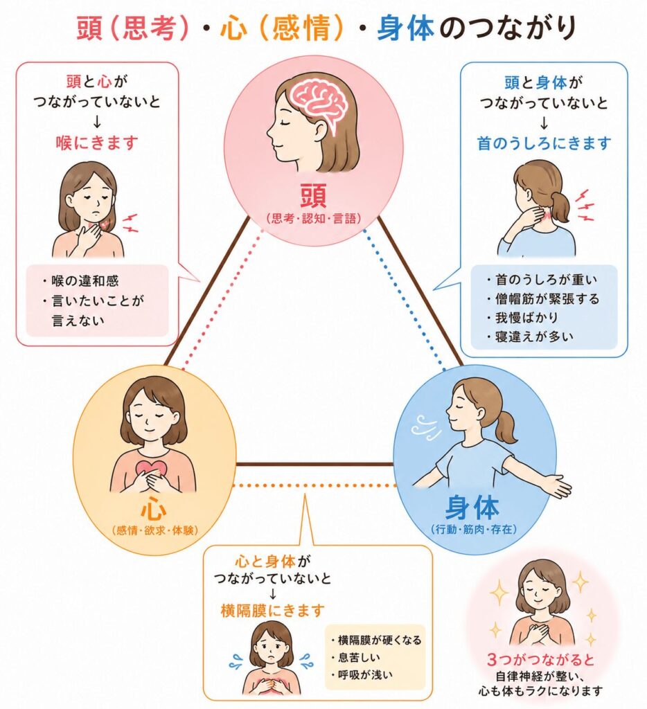 頭(思考)・心(感情)・身体のつながりと、自律神経との関係をわかりやすく示したイラスト