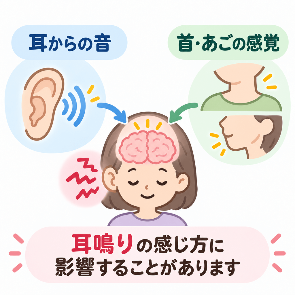耳からの音と首・あごからの感覚が耳鳴りの感じ方に影響するイラスト