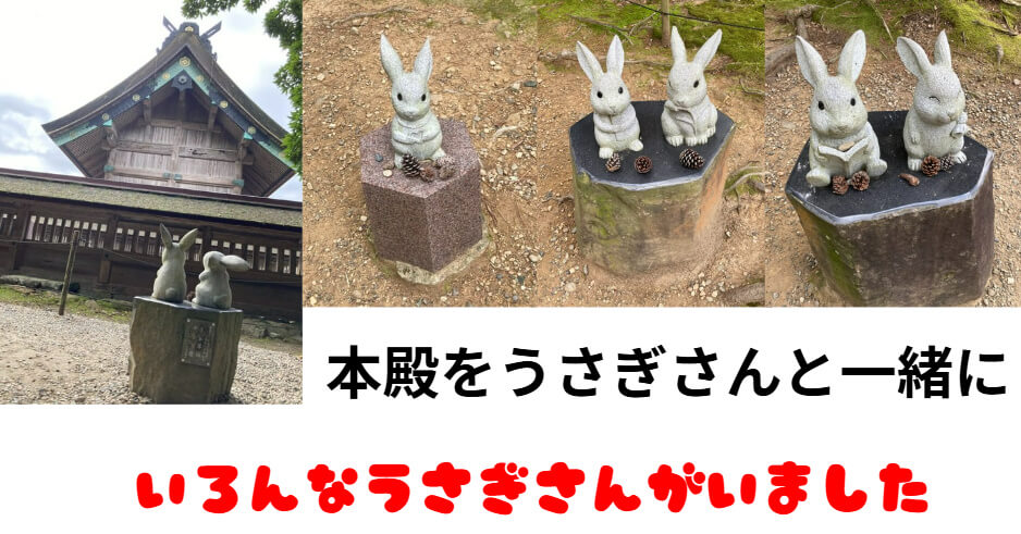 本殿をうさぎと一緒に参拝。いろんななくさんのうさぎがいるので探してみては。