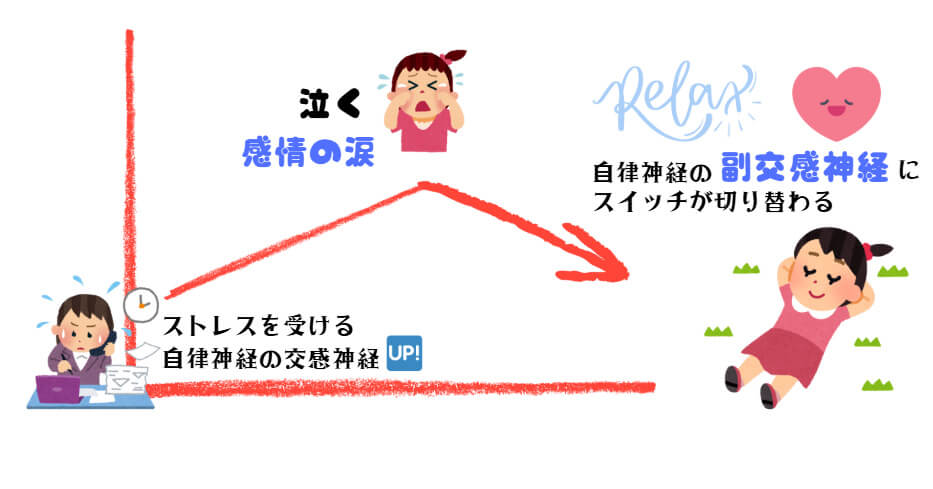東大阪市の自律神経専門整体院が教える【心と体の調和がもたらす軽やかな毎日】 感情・思考・整体で整える方法。泣くと副交感神経にスイッチする説明。