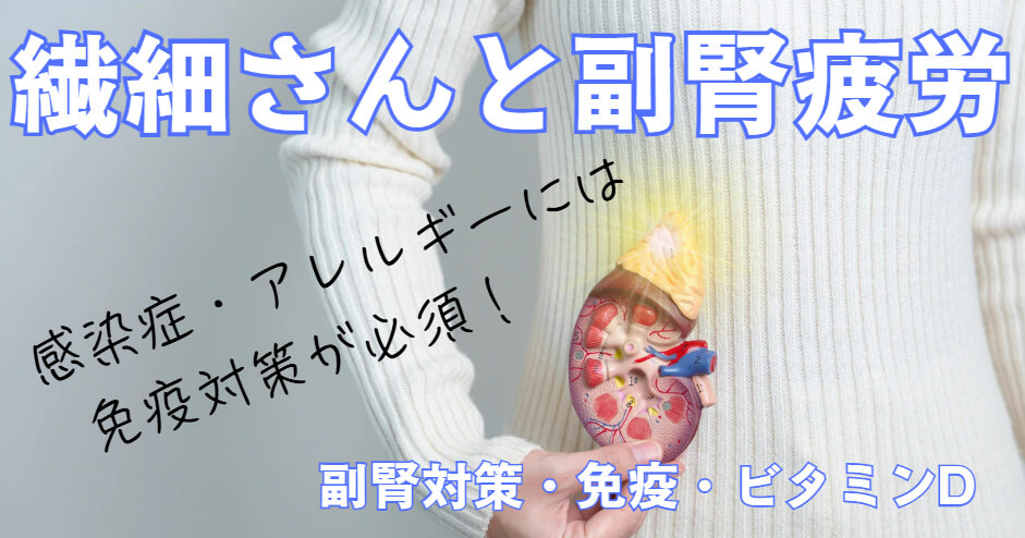 繊細さんと副腎疲労、そしてビタミンDの深い関係。東大阪市の自律神経専門整体院が説明。女性の副腎の図。