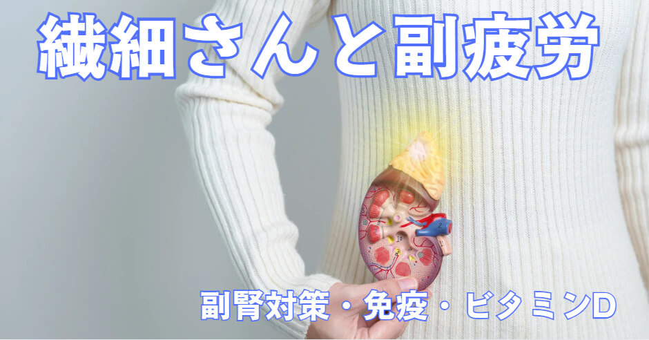 繊細さんと副腎疲労、そしてビタミンDの深い関係。東大阪市の自律神経専門整体院が説明。女性の副腎の図。