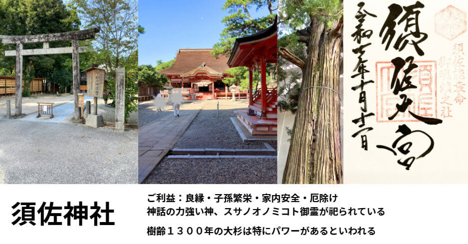 出雲のパワースポット。須佐神社。樹齢1300年の大杉が有名。