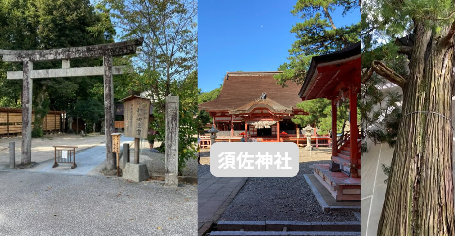 須佐之男命を祀る須佐神社の本殿と樹齢千年の大杉。出雲最強のパワースポットといわれる。