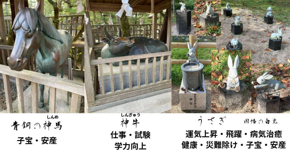 出雲大社の神馬、神牛うさぎ。