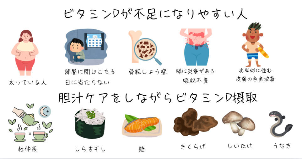 ビタミンD不足になりやすい人の説明と胆汁ケアをしながら摂取して欲しい食べ物。