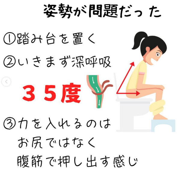 東大阪市の自律神経専門整体のおおくま整骨院。自律神経の専門家がお伝えする便秘解消法、出口お尻便秘はうんちの姿勢が問題だった説明図。