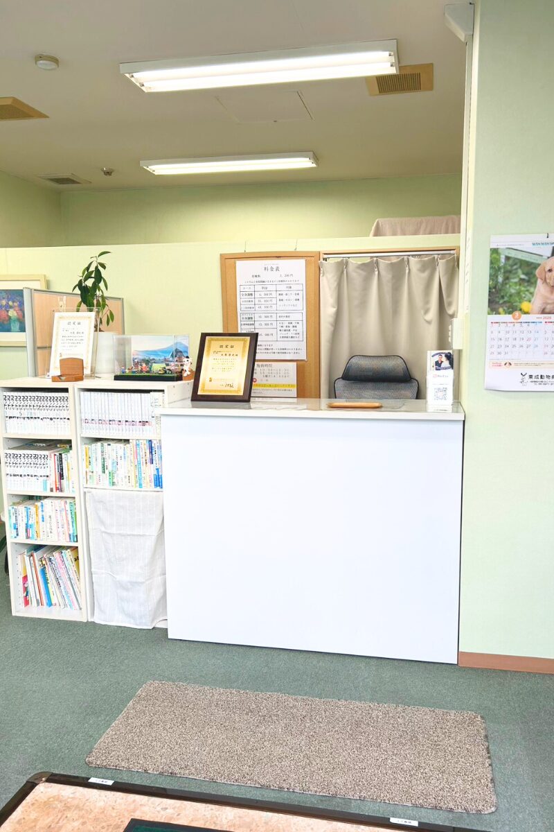 おおくま整骨院の受付。丁寧な対応で、施術前のご相談や不安も安心してお話しいただけます。