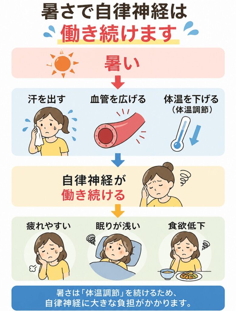 暑さによる体温調節で自律神経が働き続け、疲れや睡眠、食欲に影響する流れを示したイラスト