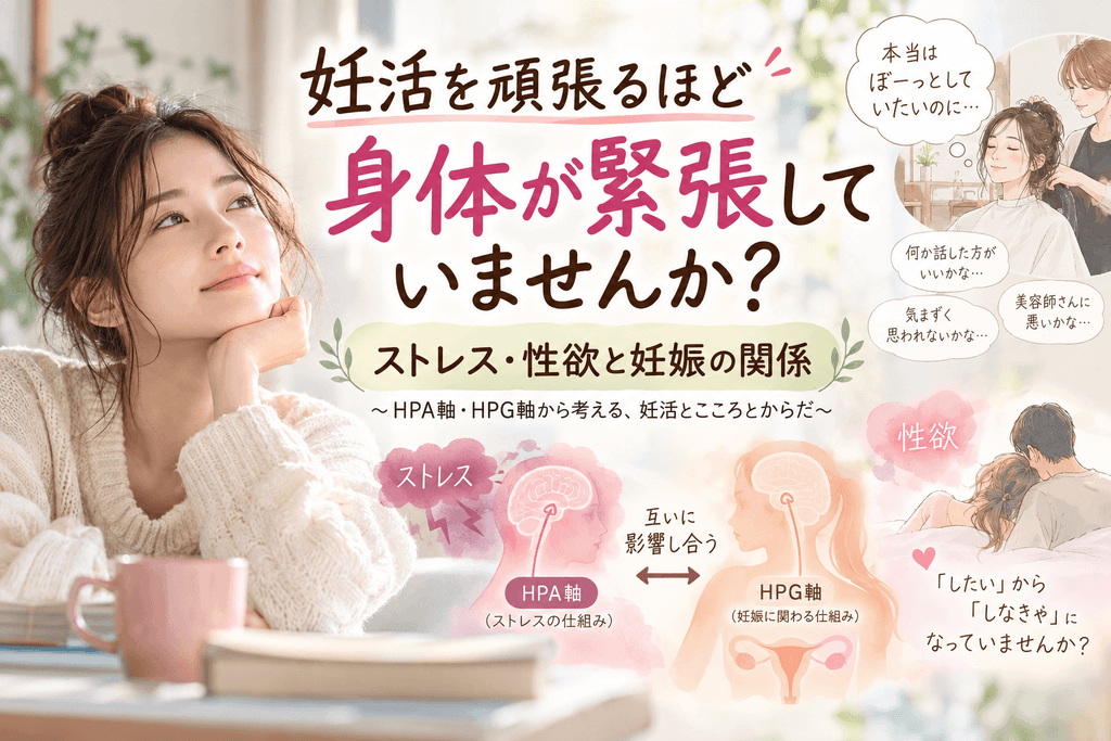 妊活を頑張るほど身体が緊張していませんか？ストレスや性欲、HPA軸・HPG軸と妊娠の関係を解説するイラスト。